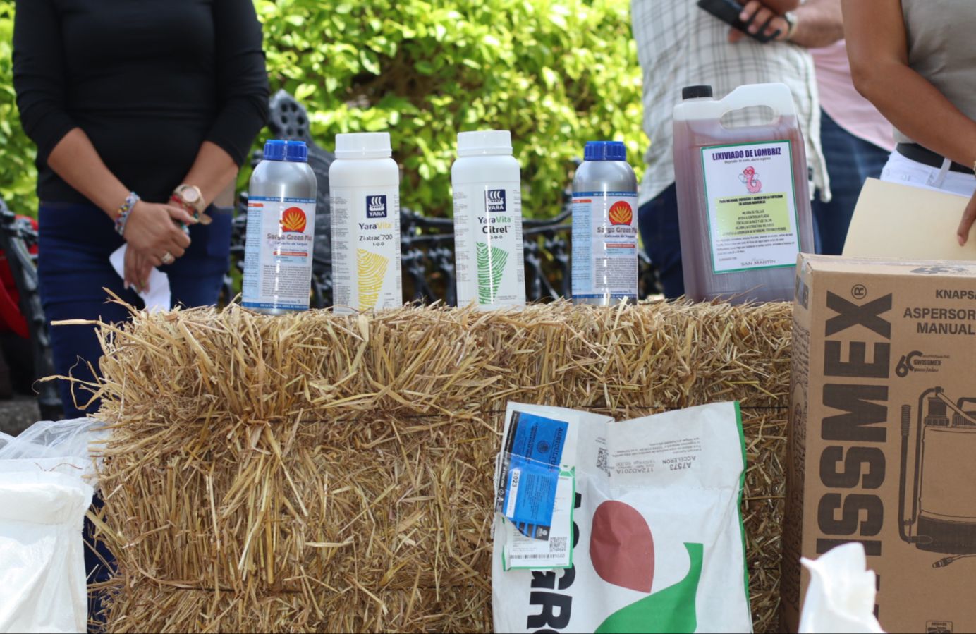Gobierno de Jiutepec entrega semilla y fertilizantes a 100 productores agrícolas 1 1000304645