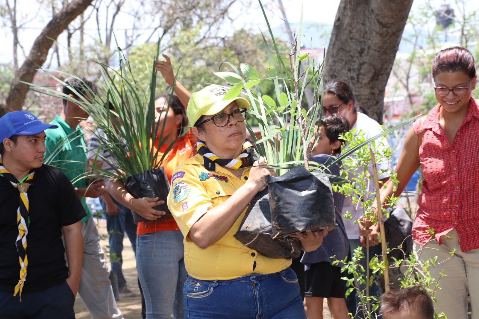Gobierno de Jiutepec reforesta espacios públicos para contribuir a garantizar un medio ambiente sano 5 1000307702