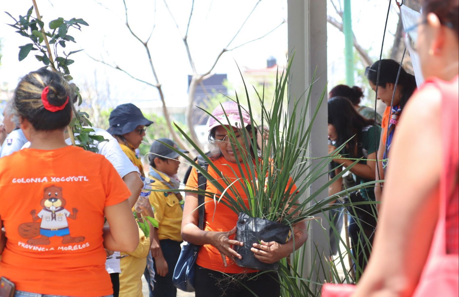 Gobierno de Jiutepec reforesta espacios públicos para contribuir a garantizar un medio ambiente sano 4 1000307704