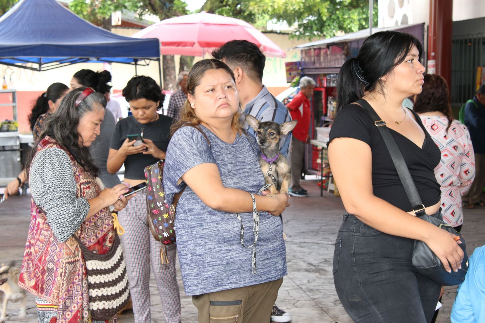 Con éxito se realiza campaña de esterilización gratuita para perros y gatos en Temixco 4 1000322188