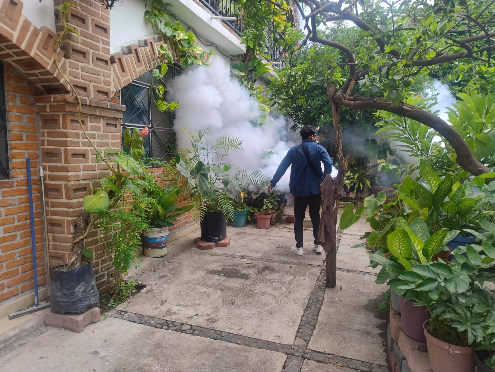 Atiende Dirección de Salud Pública de Temixco reporte por fumigaciones vs el Dengue, Zika y Chikungunya 2 1000357895 1