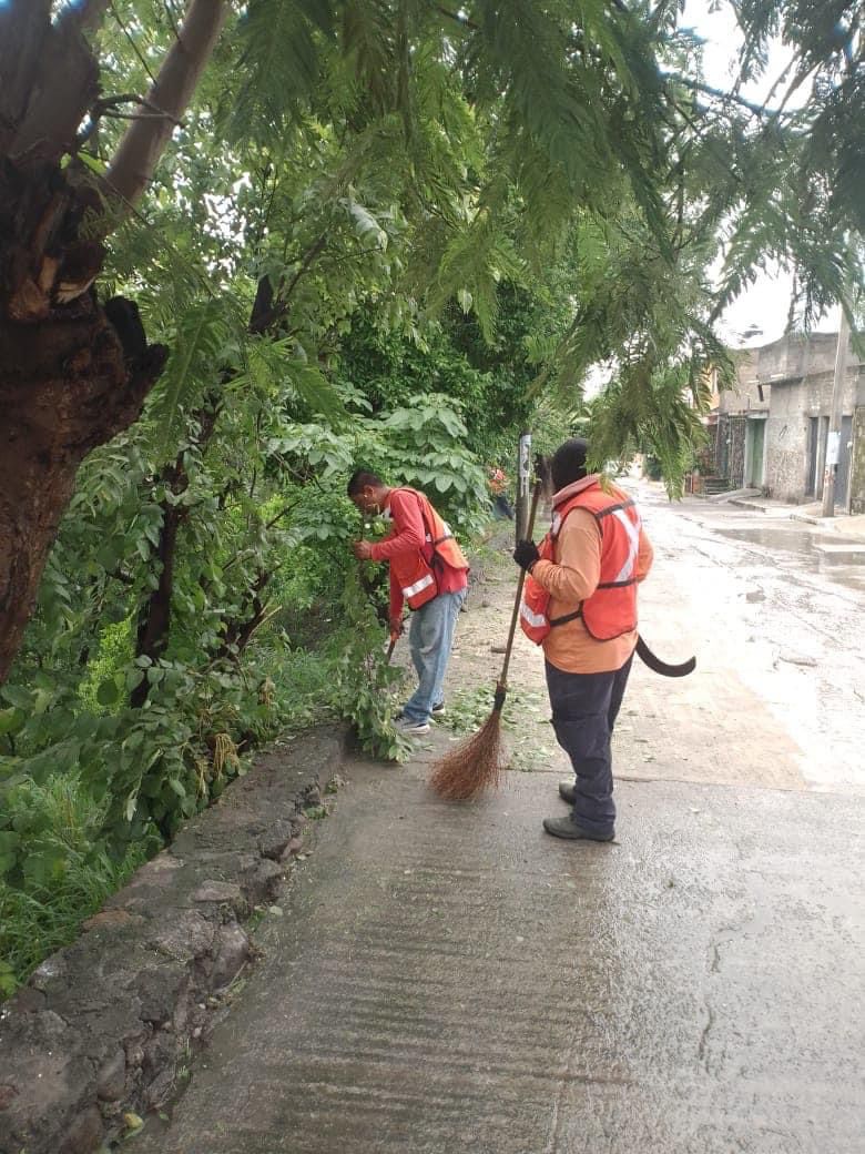 Personal de Servicios Públicos de Temixco organiza jornada de mantenimiento en la Delegación Rubén Jaramillo 5 1000358776