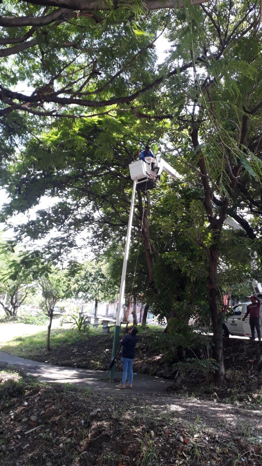 Personal de Servicios Públicos de Temixco organiza jornada de mantenimiento en la Delegación Rubén Jaramillo 6 1000358780