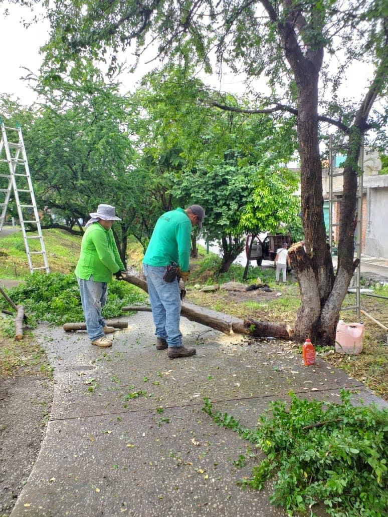 Personal de Servicios Públicos de Temixco organiza jornada de mantenimiento en la Delegación Rubén Jaramillo 2 1000358781
