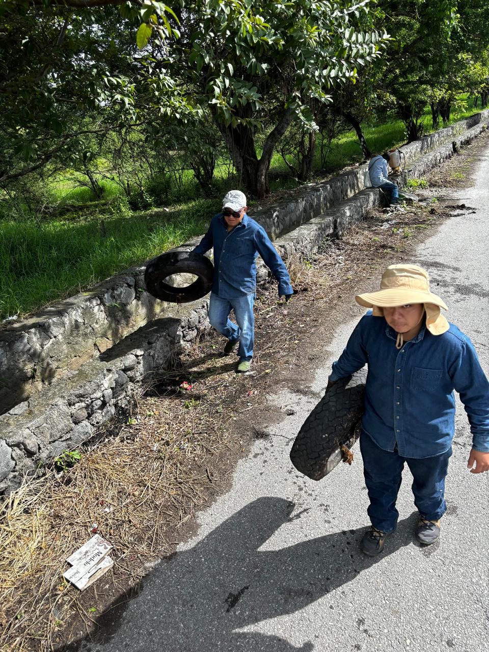 Mantiene Temixco operativo contra dengue, zika y con en Temixco 1 1000364663