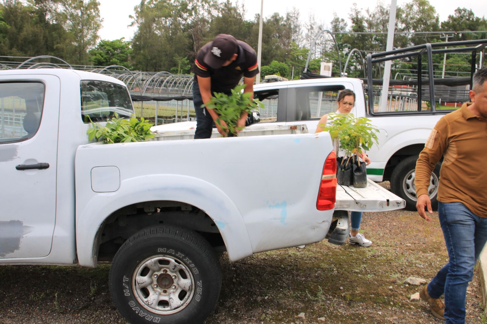 Autoridades de Temixco y Sedena unen esfuerzos para reforestar 5 1000366191