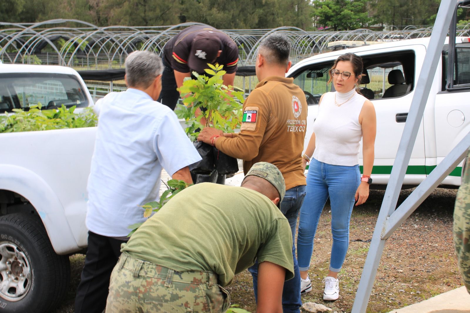 Autoridades de Temixco y Sedena unen esfuerzos para reforestar 2 1000366193