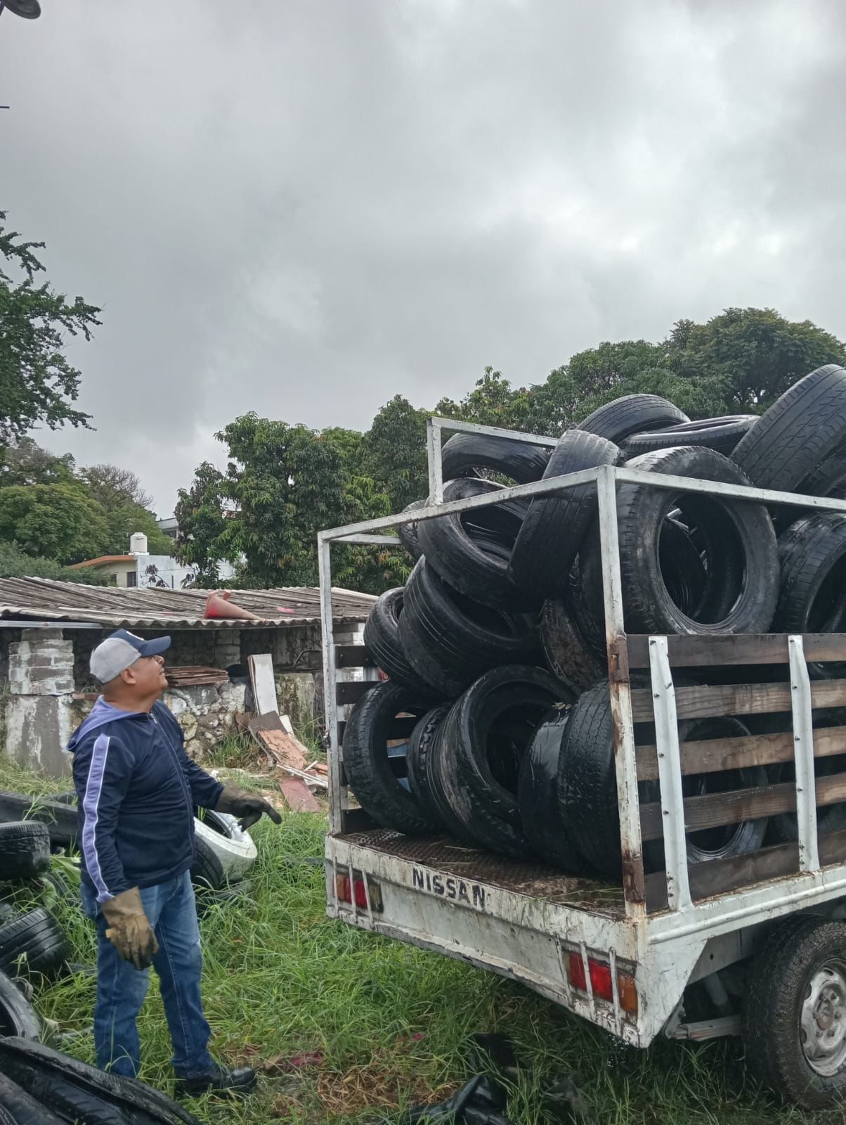 Recolecta Dirección de Salud de Temixco 3 toneladas de cacharros y 15 toneladas de llantas para el combate al dengue 2 1000408354