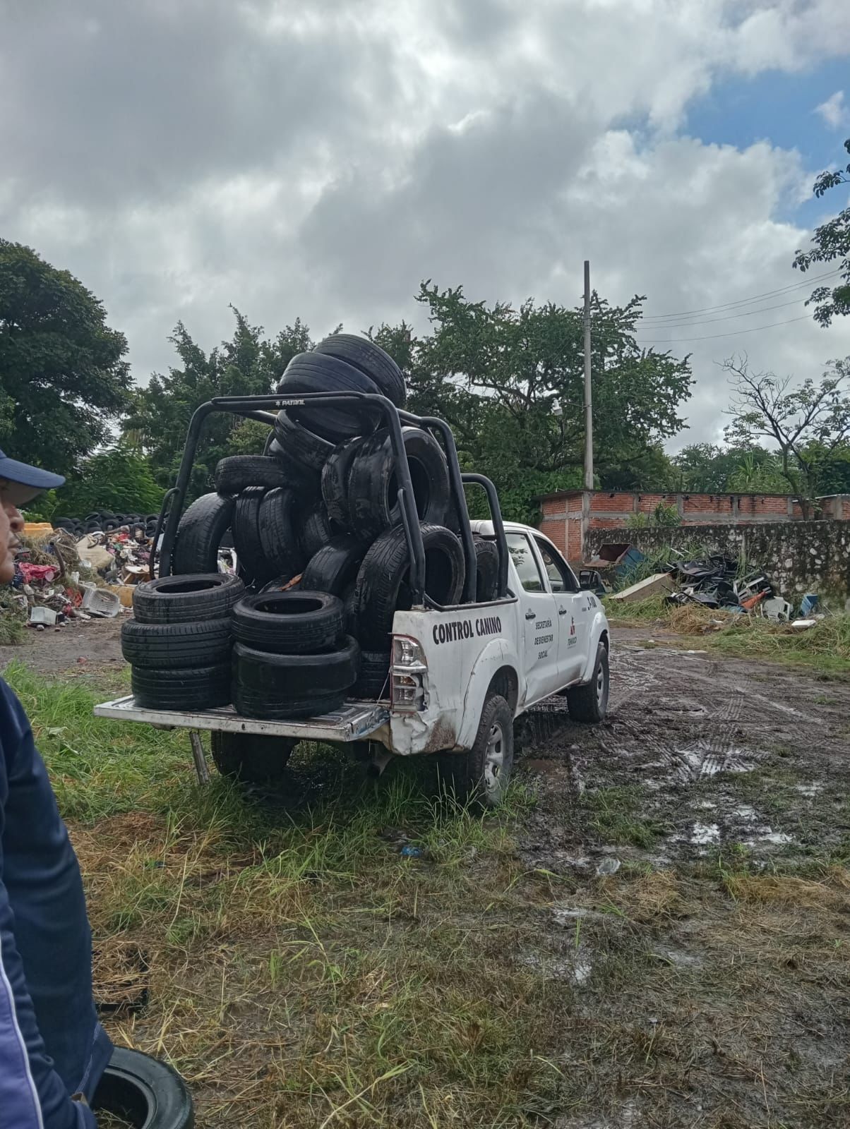 Recolecta Dirección de Salud de Temixco 3 toneladas de cacharros y 15 toneladas de llantas para el combate al dengue 3 1000408355