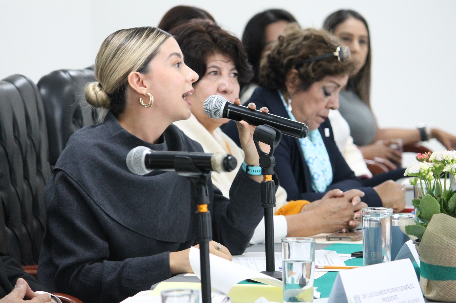 Queda formalmente instalada la Comisión de Medio Ambiente, Recursos Naturales y Agua, a cargo del diputado Eduardo Pedrero 7 1000472995