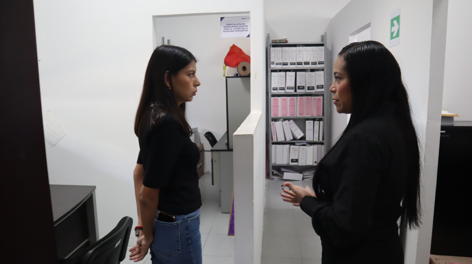 Se reúne presidenta del IMM con la diputada Gonzala Eleonor Martínez Gómez 2 1000497859