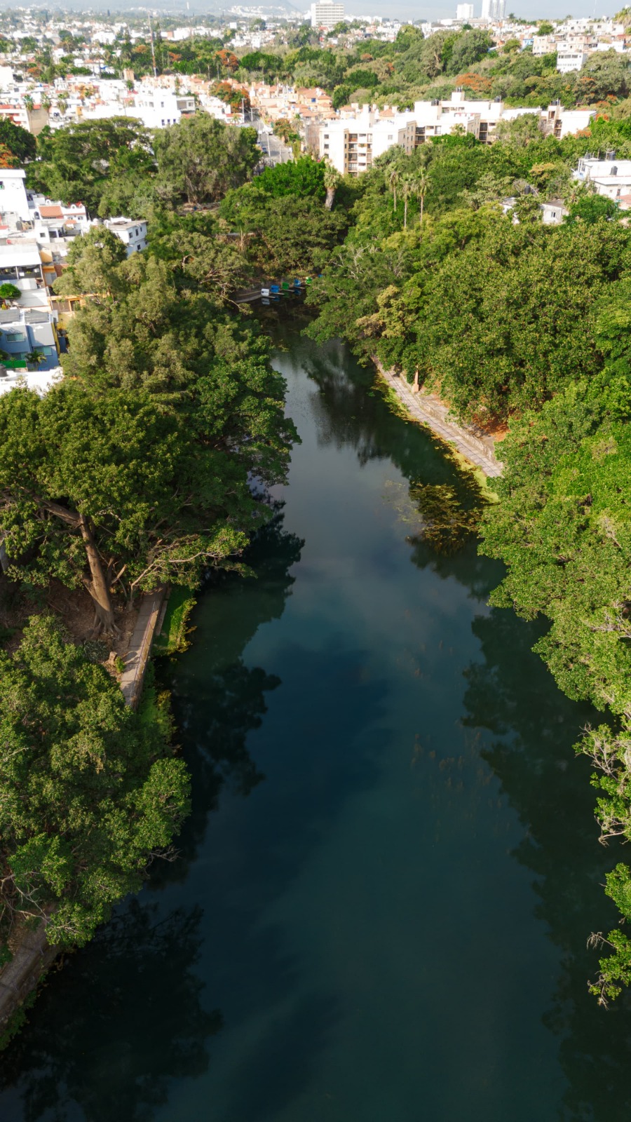 Inicia saneamiento del lago en el parque Barranca de Chapultepec: Una acción en beneficio del medio ambiente 1 1000542566
