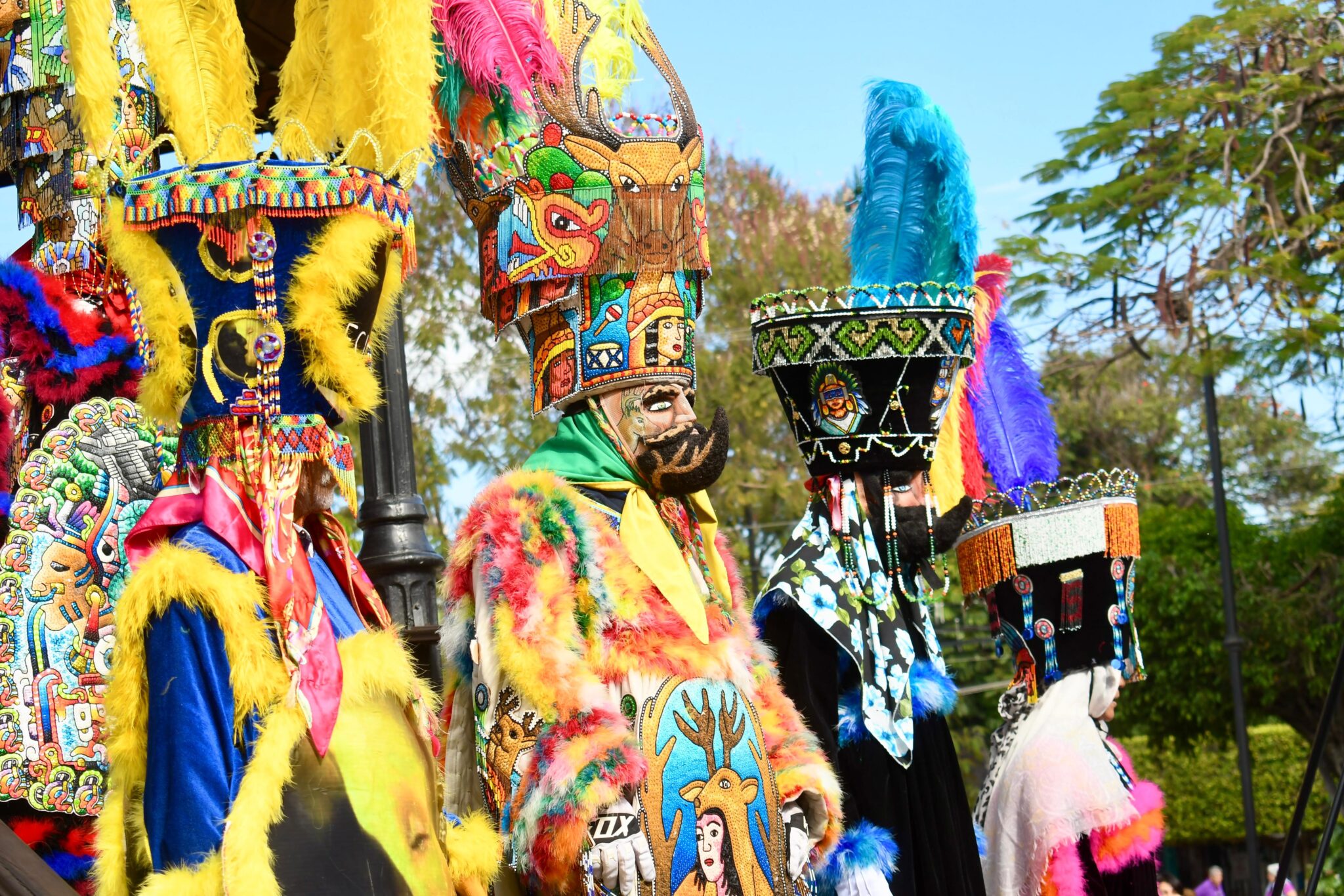 Arranca el carnaval más grande de Morelos: Jiutepec 2025 6 1000587704
