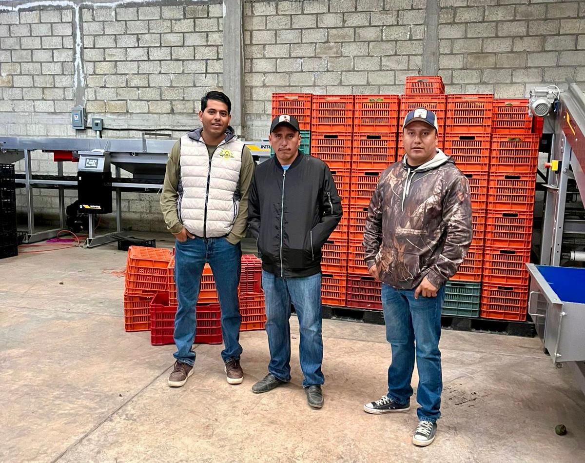 Impulsa SDEyT competitividad de productos de aguacate de Buenavista del Monte a través de la vinculación directa con compradores 1 1000588480