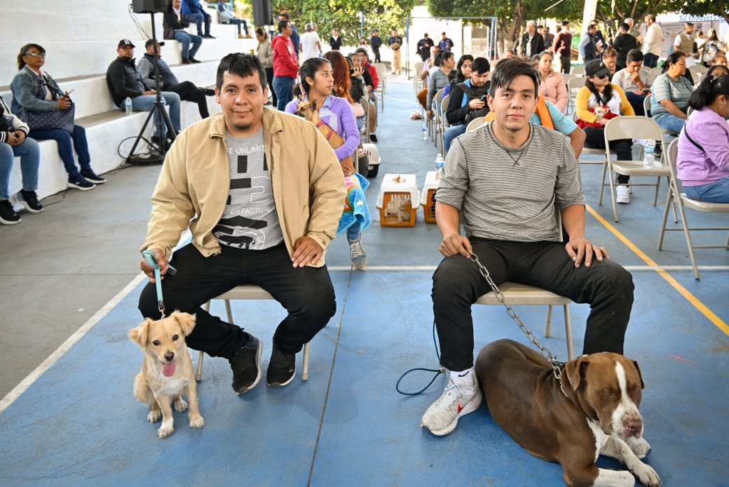 Inicia gobierno de Margarita González Saravia Registro Único de Mascotas 11 1000592283
