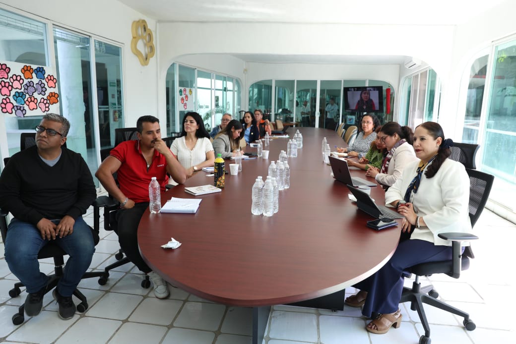 Participa Gobierno de Morelos en reunión nacional de coordinación para la estrategia Vida Saludable 2 1000593742