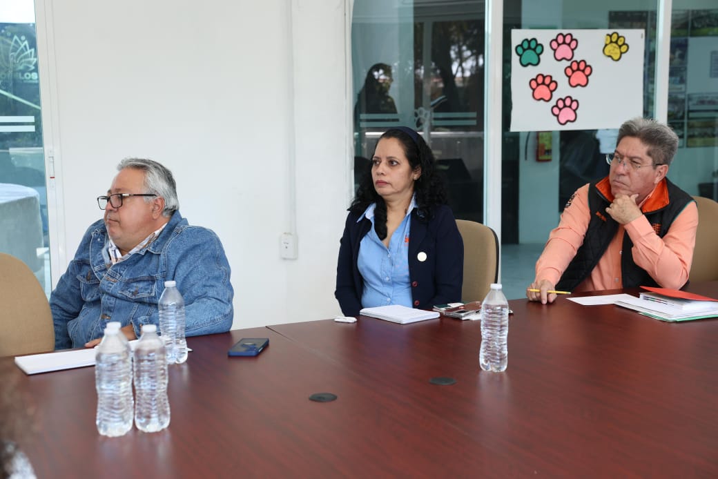 Participa Gobierno de Morelos en reunión nacional de coordinación para la estrategia Vida Saludable 1 1000593744
