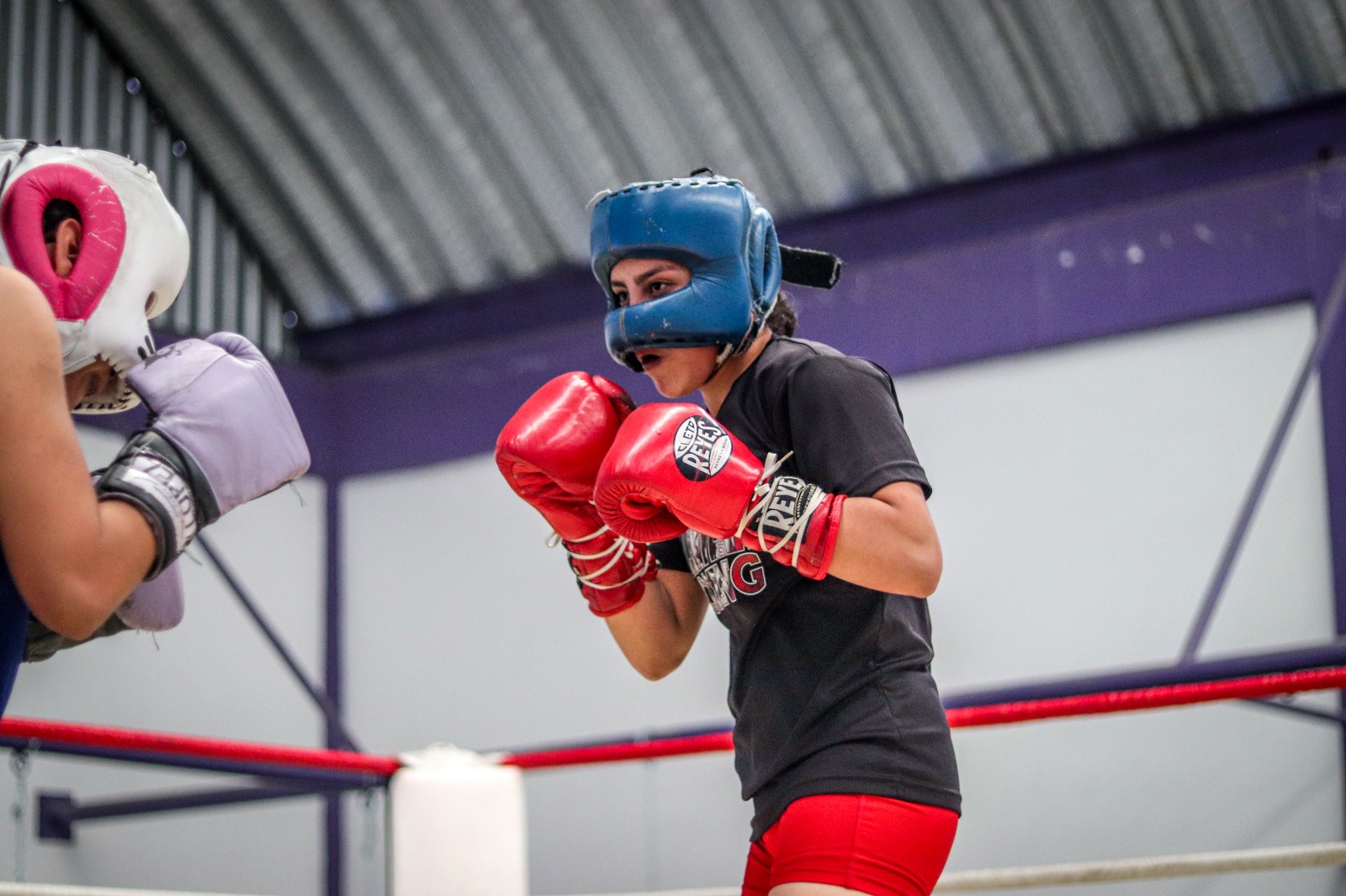 Realiza Indem homenaje a Saúl Hernández García impulsor del boxeo morelense 9 1000643041