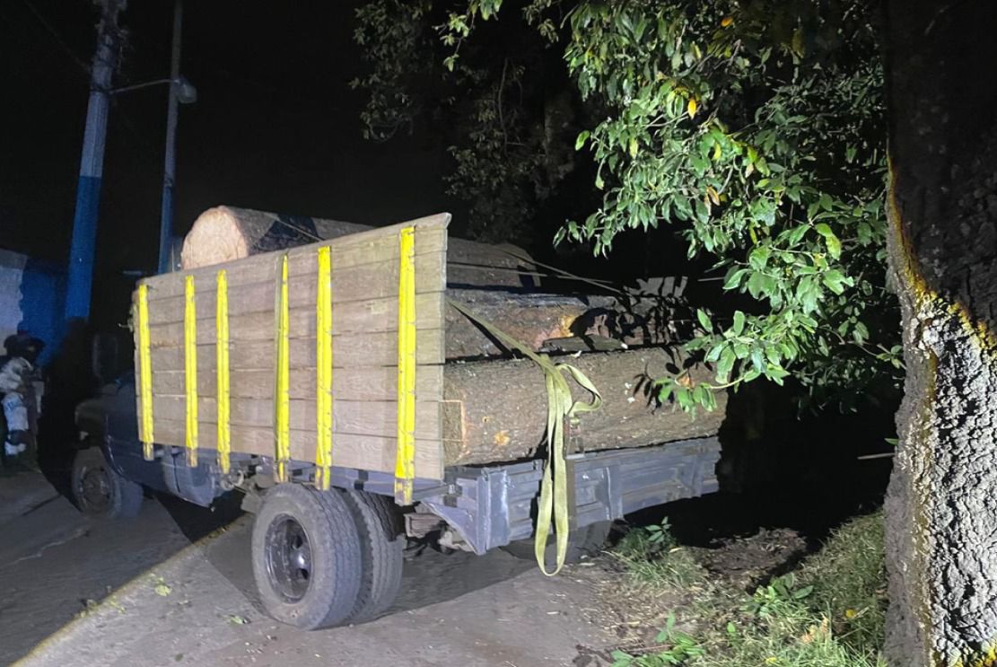 Intensifica Gobierno de Morelos acciones contra deforestación y combate a la tala clandestina en zona limítrofe con Ciidad de México y Estado de México 5 1000794407