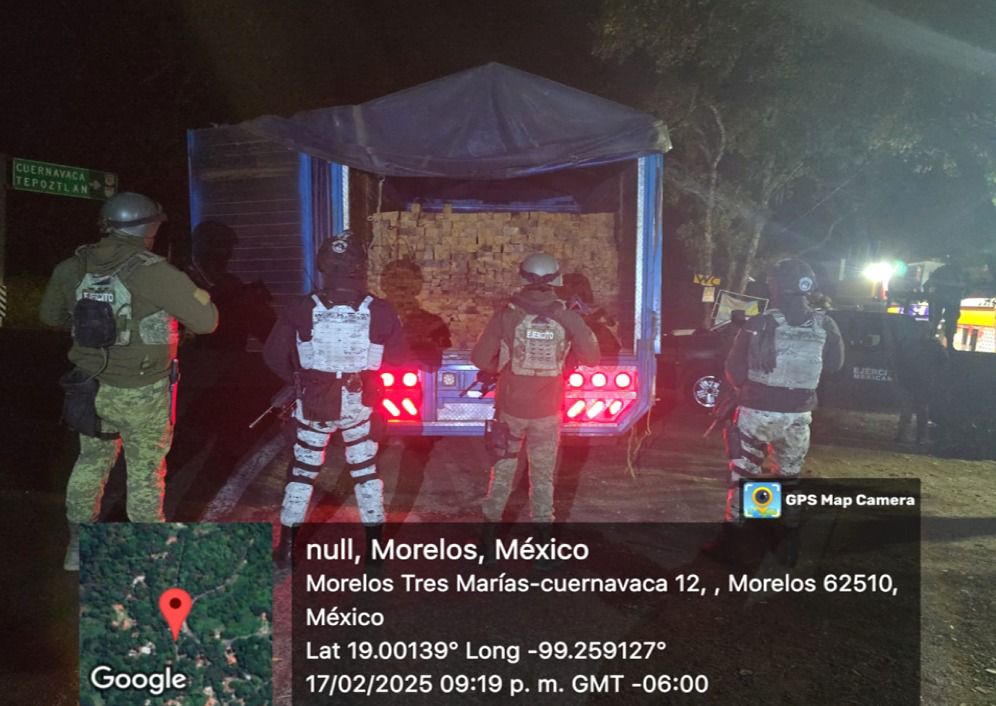 Intensifica Gobierno de Morelos acciones contra deforestación y combate a la tala clandestina en zona limítrofe con Ciidad de México y Estado de México 1 1000794408