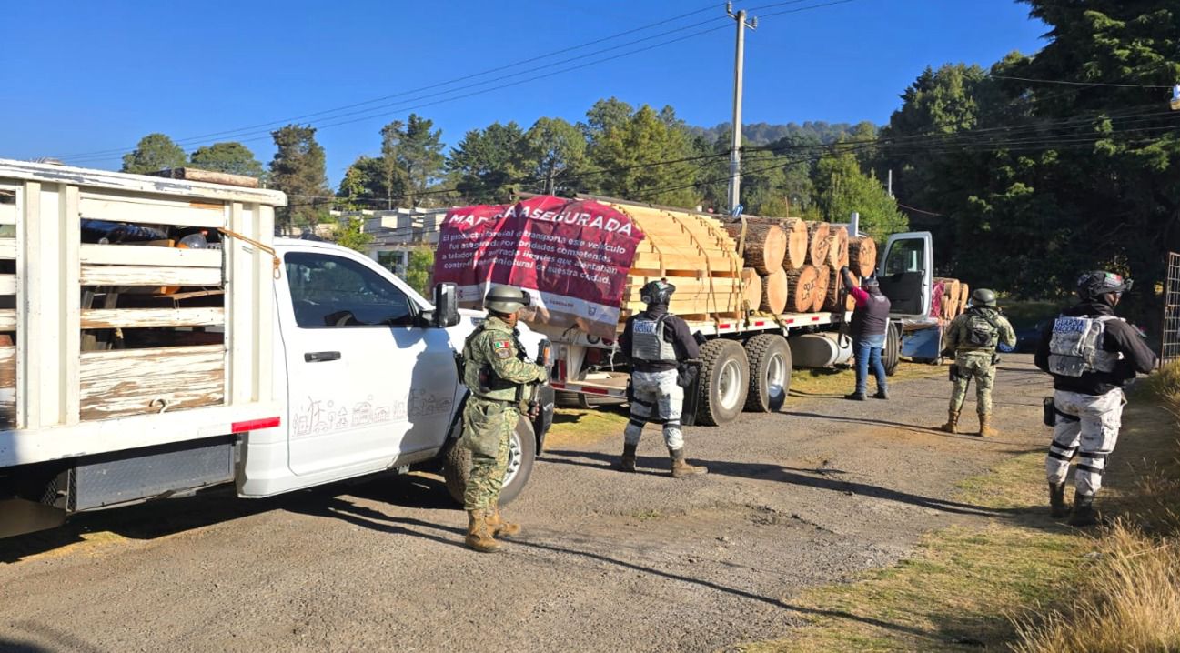Intensifica Gobierno de Morelos acciones contra deforestación y combate a la tala clandestina en zona limítrofe con Ciidad de México y Estado de México 4 1000794409