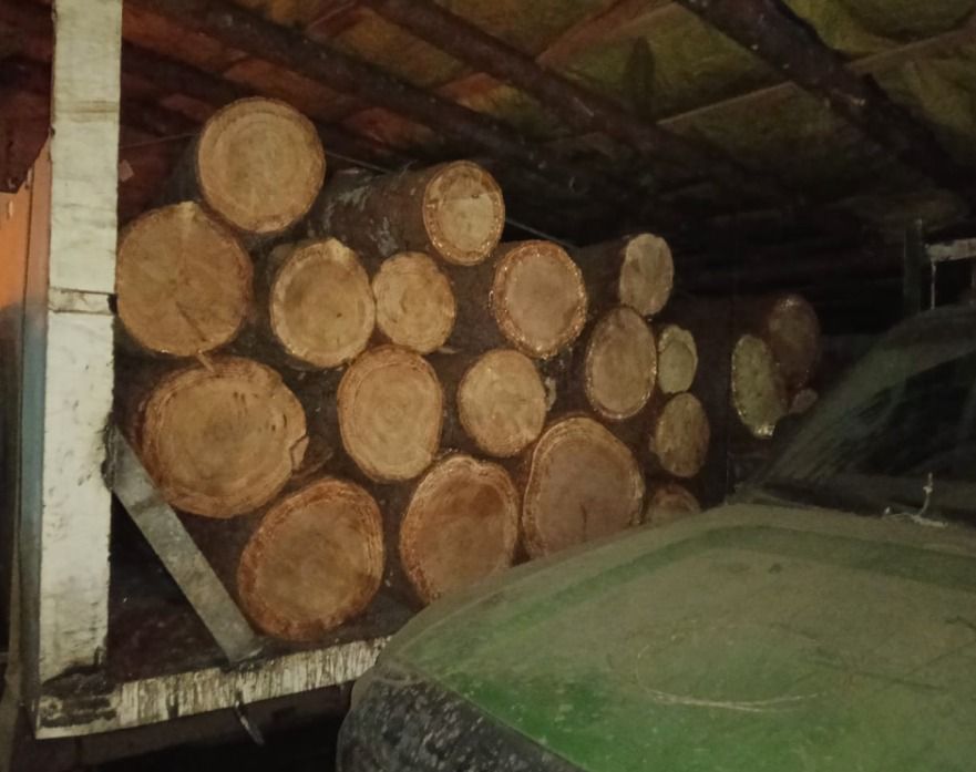 Intensifica Gobierno de Morelos acciones contra deforestación y combate a la tala clandestina en zona limítrofe con Ciidad de México y Estado de México 2 1000794411