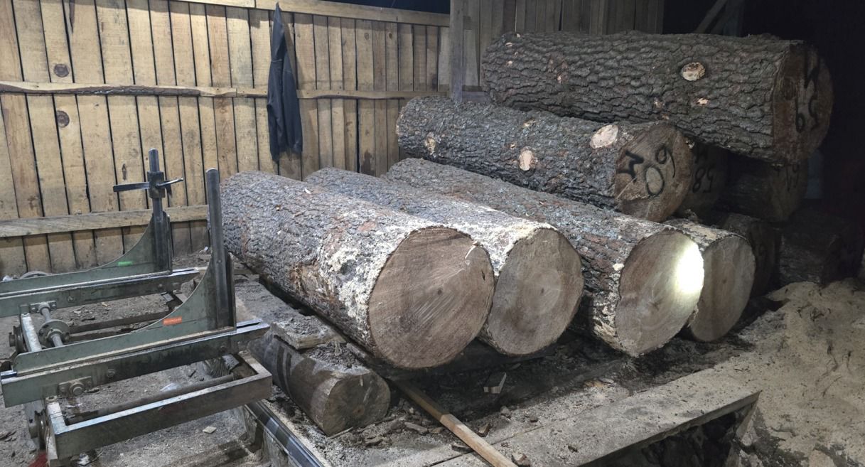 Intensifica Gobierno de Morelos acciones contra deforestación y combate a la tala clandestina en zona limítrofe con Ciidad de México y Estado de México 3 1000794412