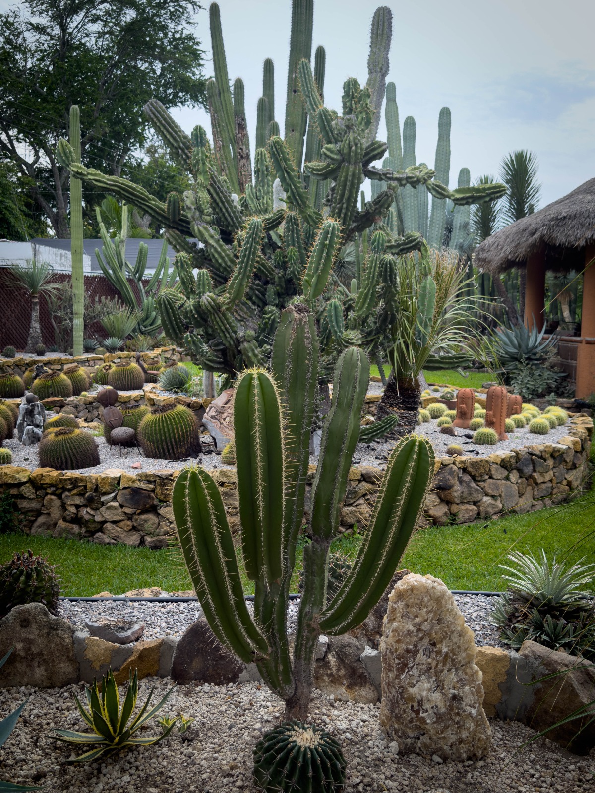 Promuve Gobierno de Morelos turismo comunitario en Tetecala 5 1000823995