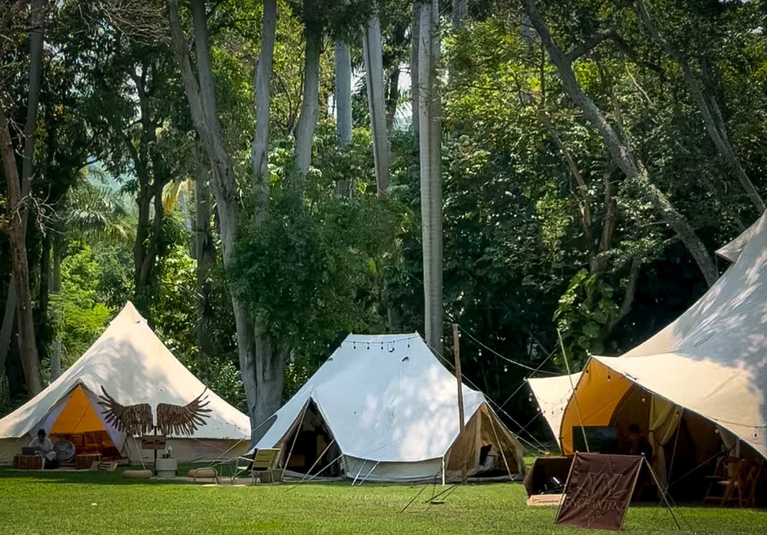 Morelos sede la expo glamping 2025 8 1000825258