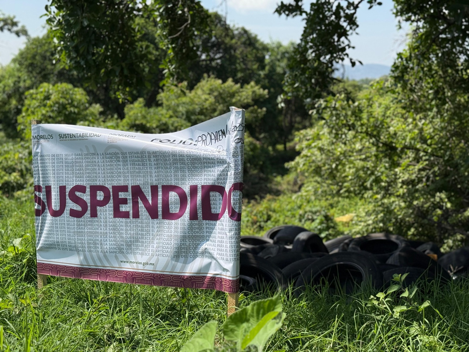 Realiza Secretaría de Desarrollo Sustentable operativo contra tiradero de llantas en el municipio de Tepoztlán 4 1000844013