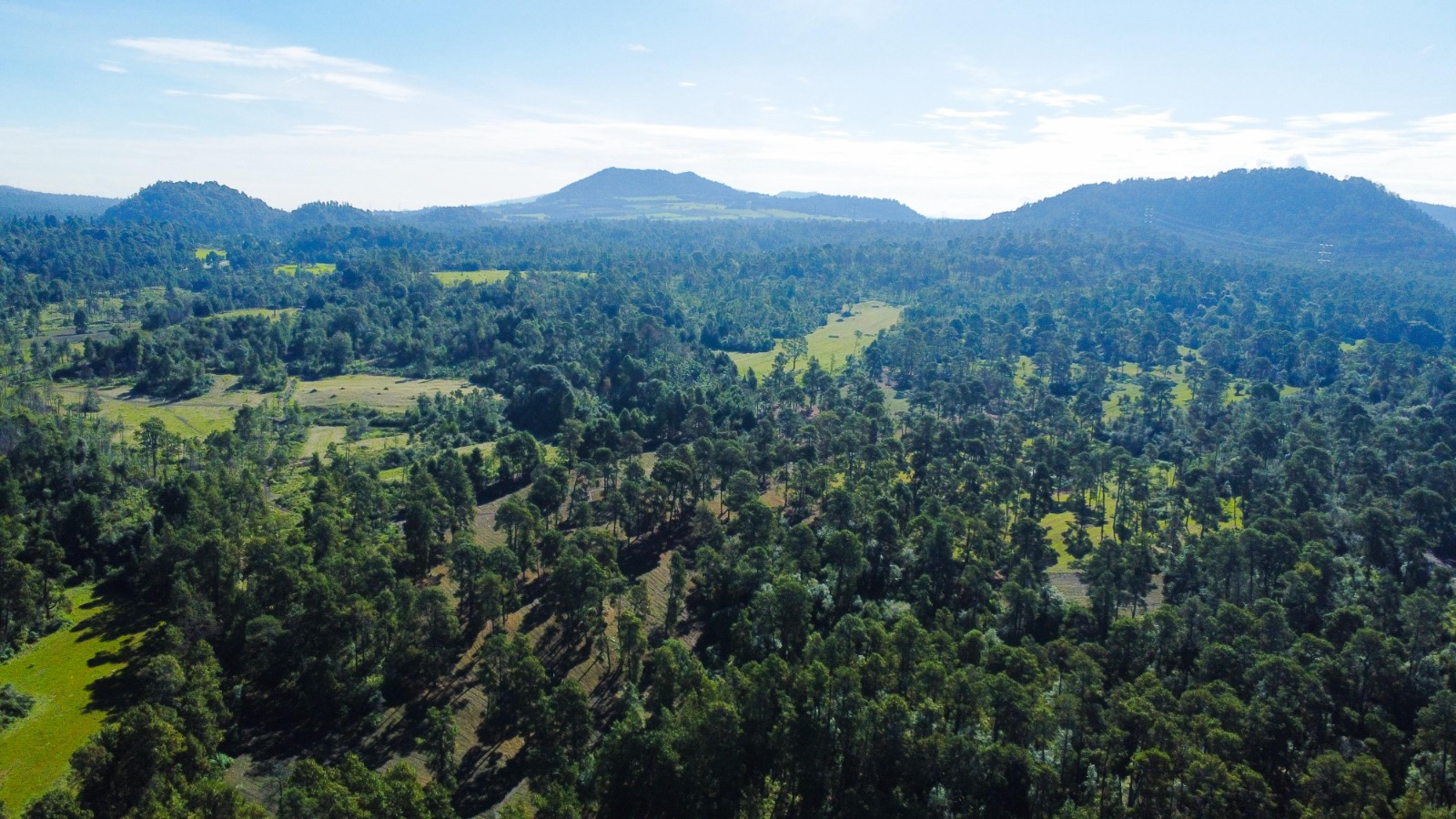 Da inicio Margarita González Saravia a Jornadas de Reforestación en Morelos 6 1000855402