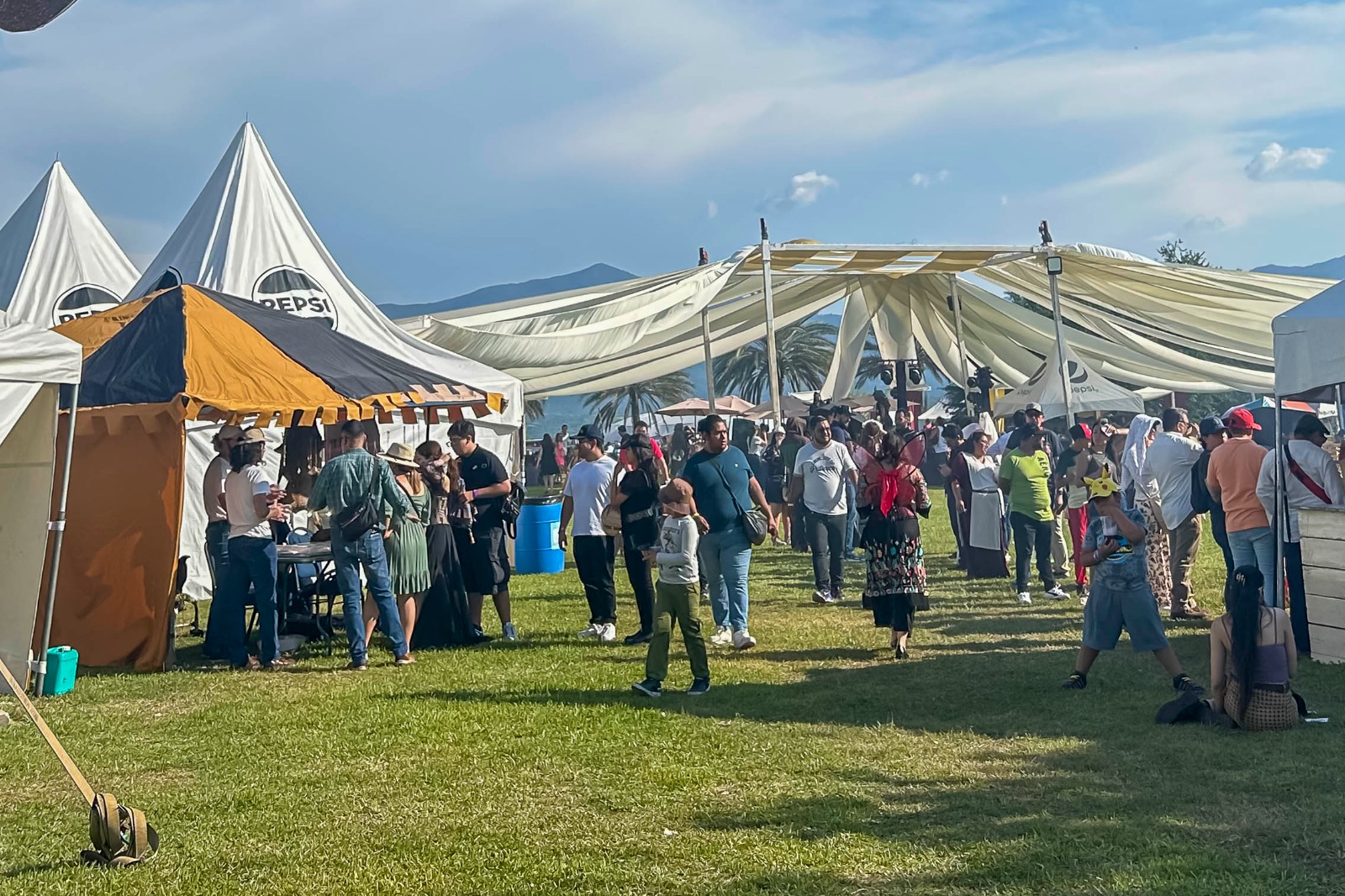 Más de cinco mil personas vivieron el festival medieval en Jardines de México 5 1000878645