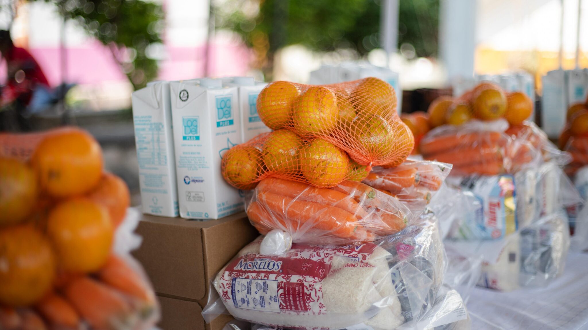 Fortalece Axochiapan programas alimentarios para familias vulnerables 4 1001481067 1