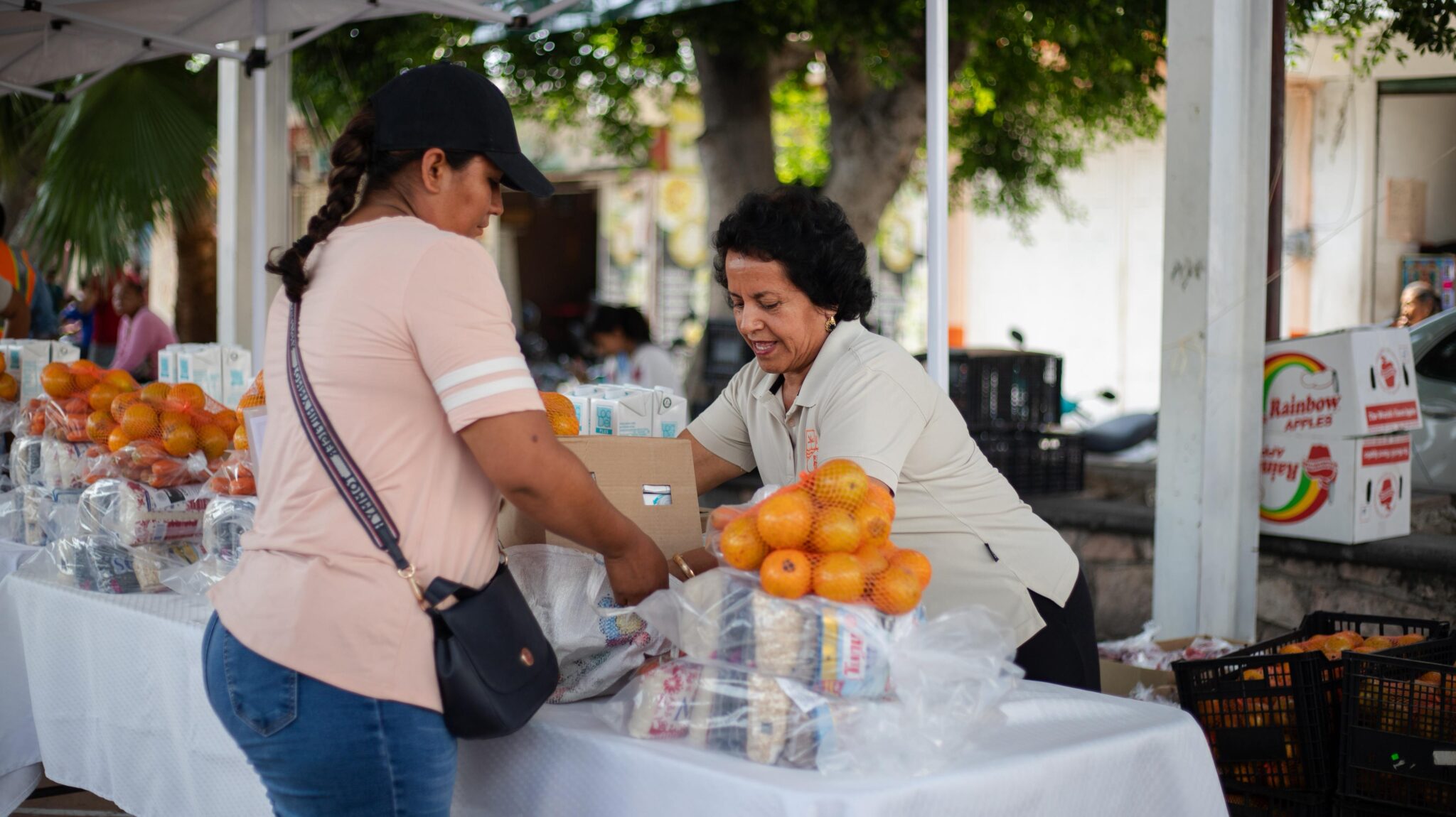 Fortalece Axochiapan programas alimentarios para familias vulnerables 8 1001481075 1