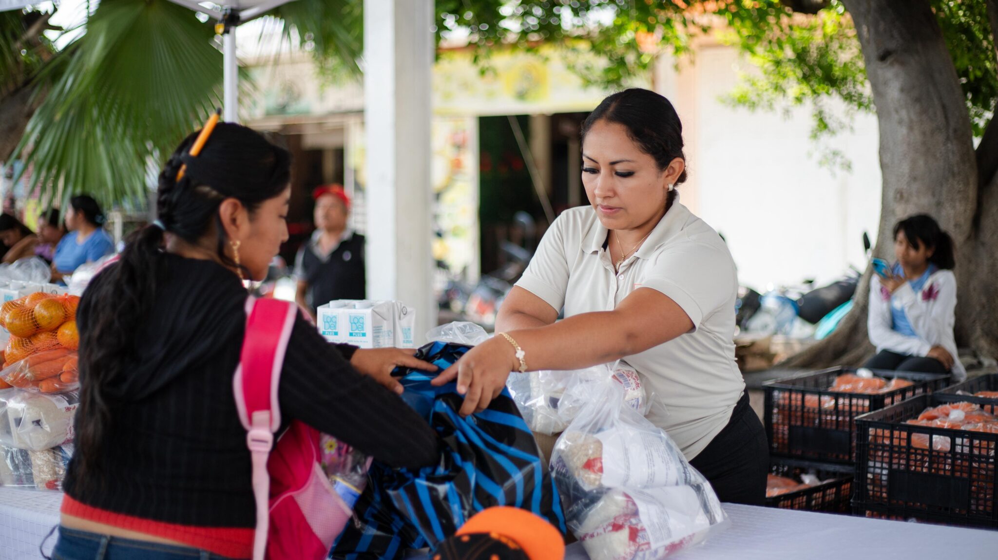 Fortalece Axochiapan programas alimentarios para familias vulnerables 5 1001481078 1