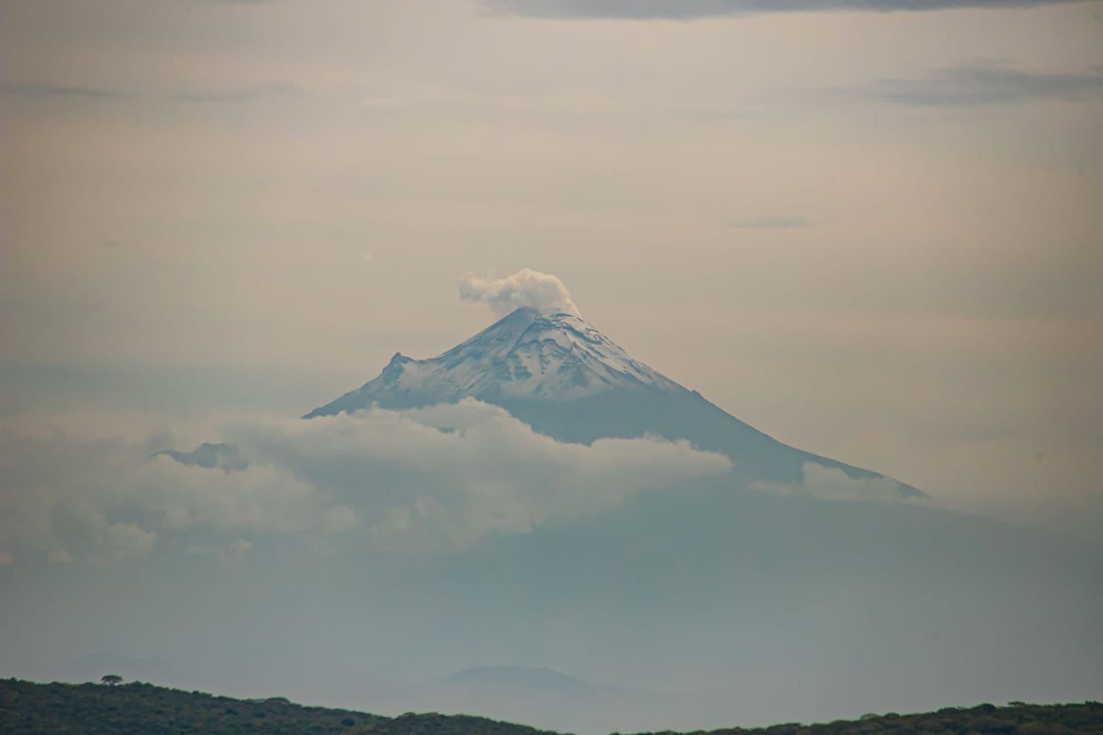 Paisajes de Xochitepec Pueblo Mágico: se recorre el cerro "La Mina" 1 1001677512