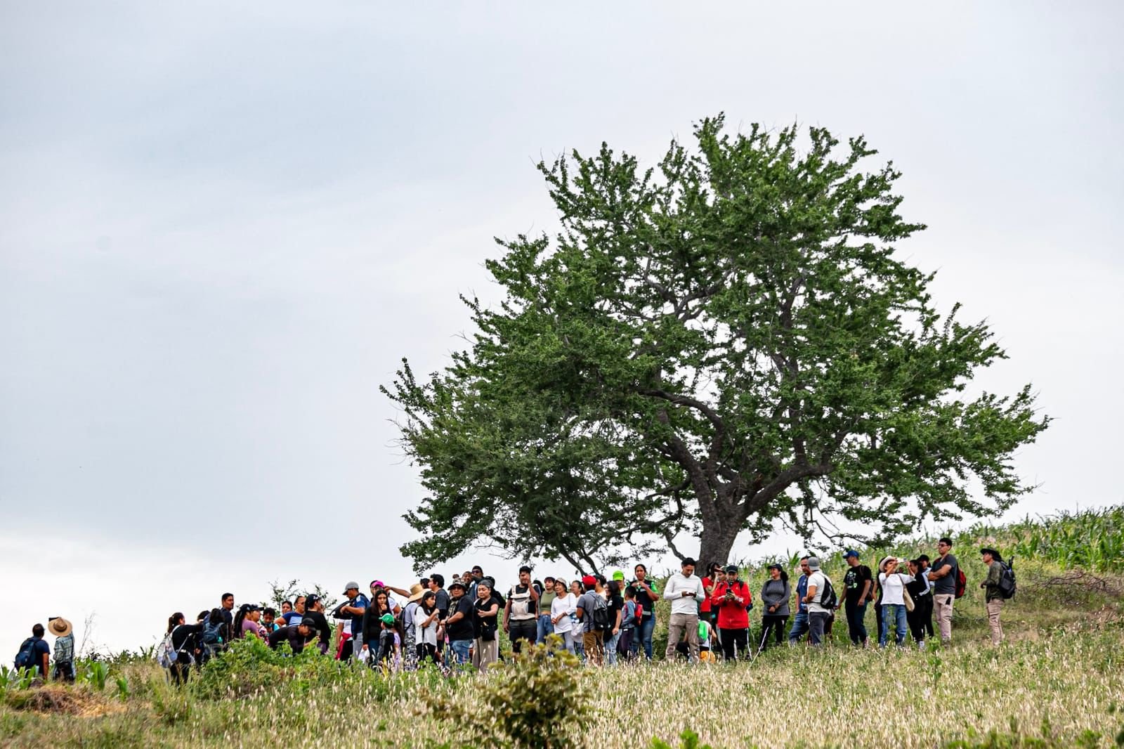 Paisajes de Xochitepec Pueblo Mágico: se recorre el cerro "La Mina" 8 1001677517