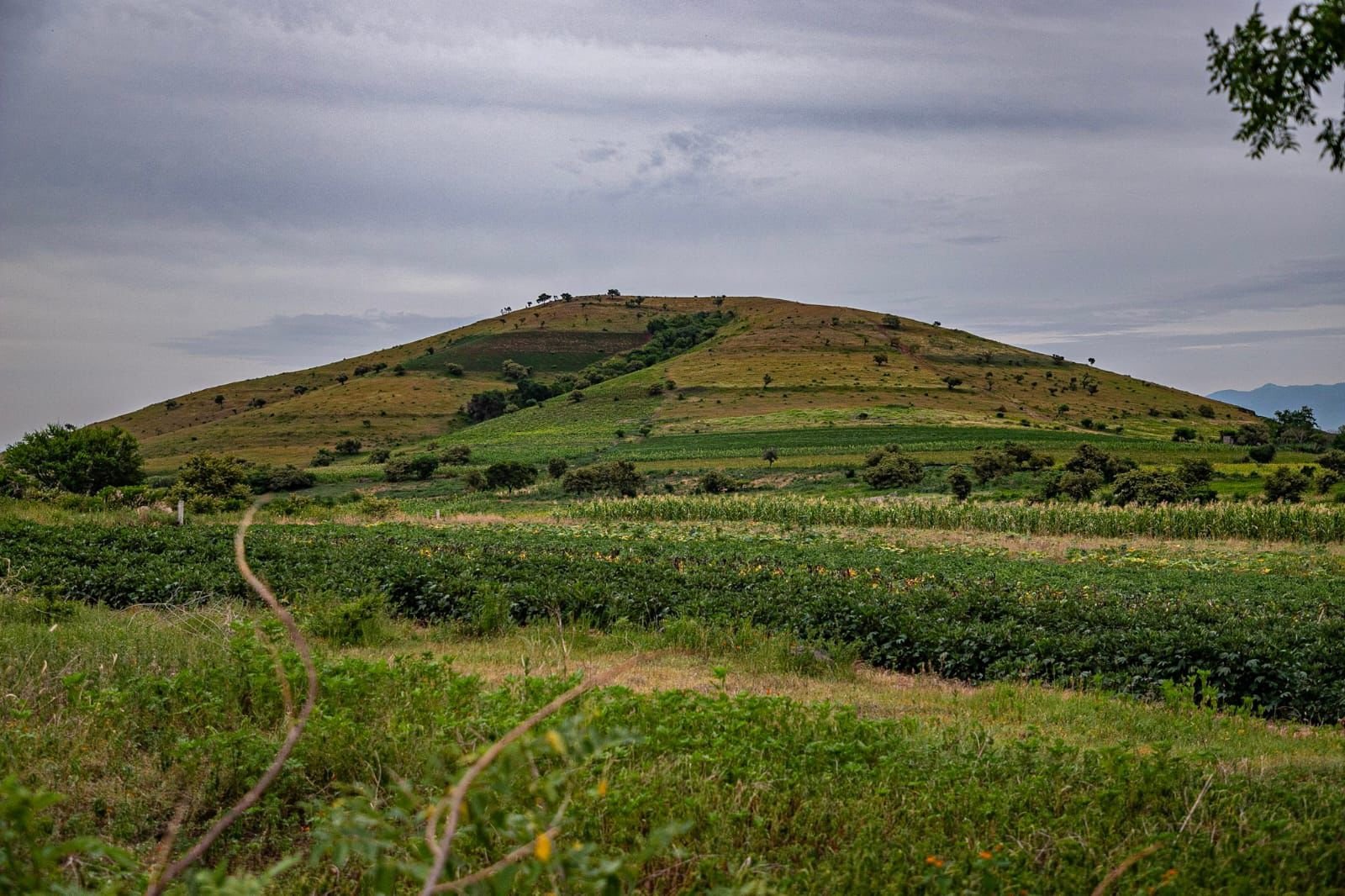 Paisajes de Xochitepec Pueblo Mágico: se recorre el cerro "La Mina" 12 1001677523