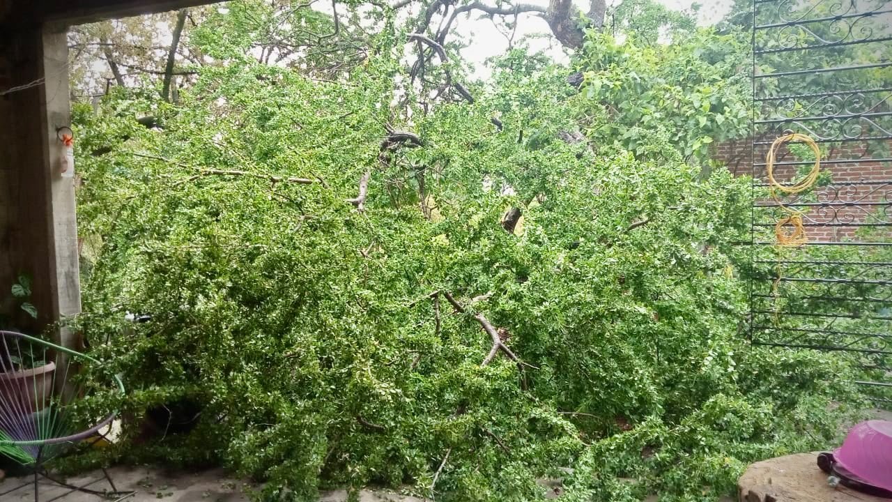 Atiende Xochitepec emergencias por lluvias durante la madrugada 1 1001749999