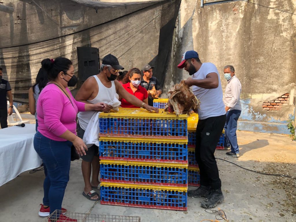 EN JOJUTLA SE ENTREGARON 140 PAQUETES DE POLLAS DE POSTURA A BAJO COSTO 1 WhatsApp Image 2022 05 05 at 4.56.57 PM