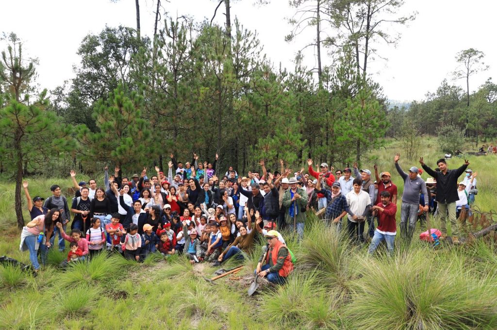 Encabeza Andy Gordillo campaña de reforestación "Un árbol un respiro" 6 img 20220815 wa00036152258565704517091