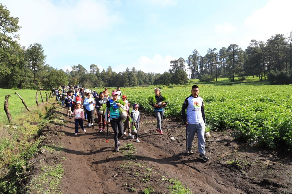 Encabeza Andy Gordillo campaña de reforestación "Un árbol un respiro" 2 img 20220815 wa00067604622648738887489
