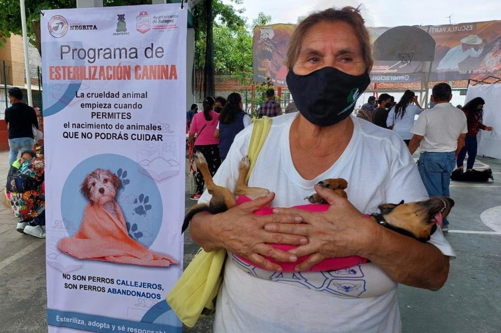 Suman mil animales de compañía esterilizados en Jiutepec 4 img 20220819 wa00384600169802046015492
