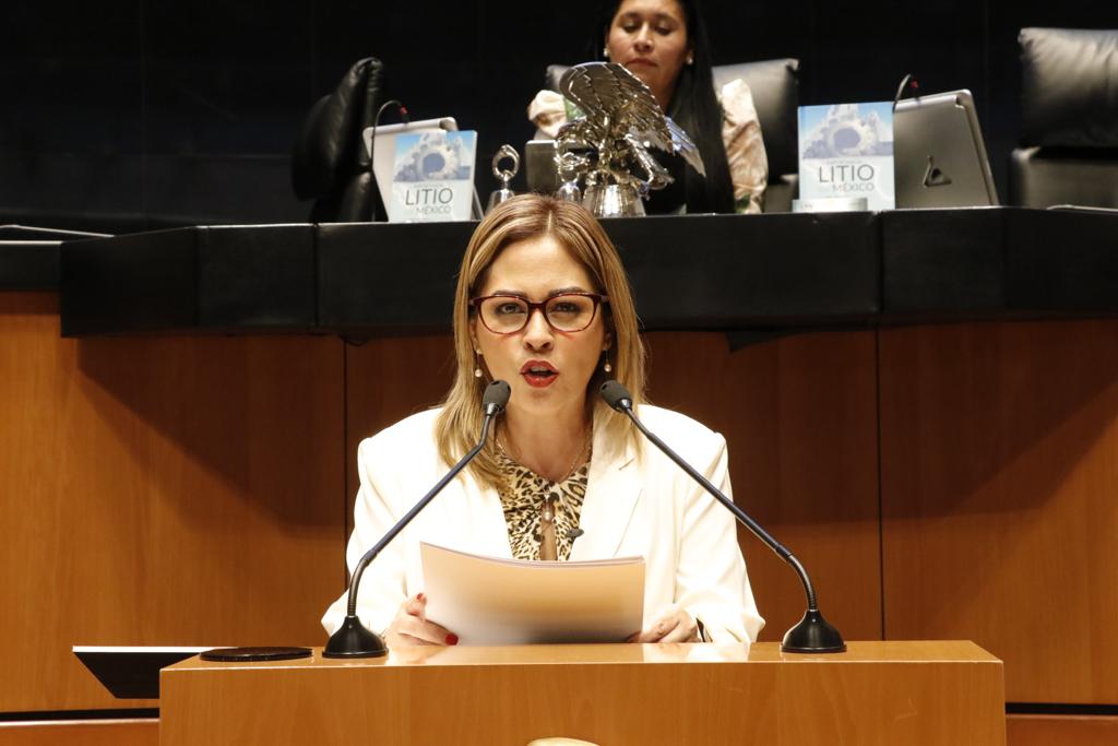La Ley de Protección del Espacio Aéreo permitirá garantizar la paz y la soberanía nacional: Lucy Meza 1 lucy s