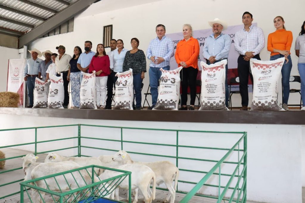 rafa y ganado 1