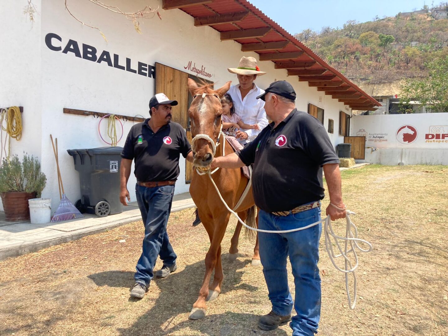 EQUINOTERAPIA 1