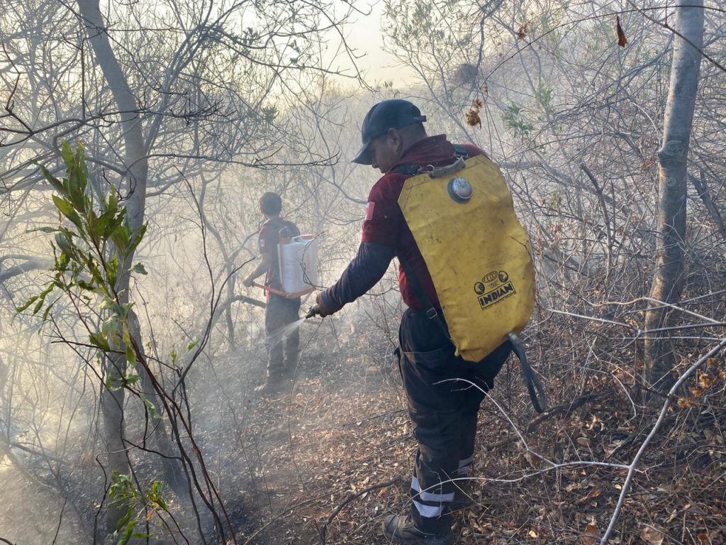 Siguen los trabajos para sofocar el fuego en cerro de Tilzapotla 1 zacatuches puente