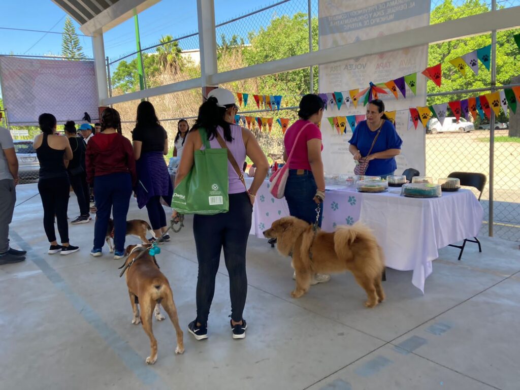 Alcalde Rafa Reyes hace un llamado para cuidar a los animales de compañía 6 IMG 20230729 WA0016