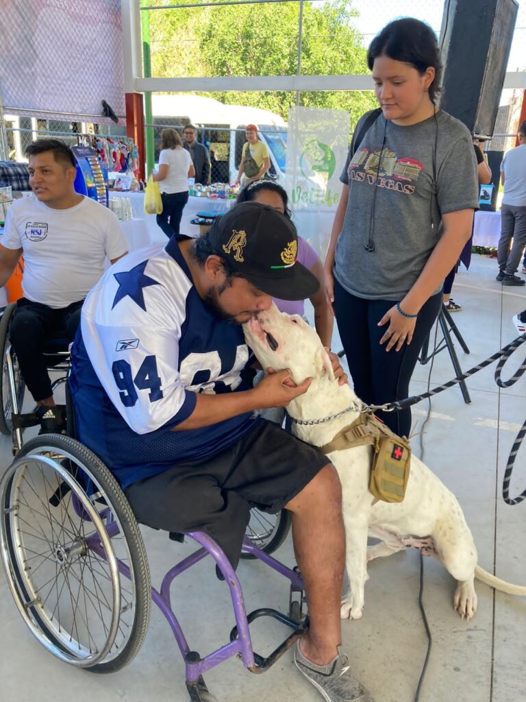 Alcalde Rafa Reyes hace un llamado para cuidar a los animales de compañía 4 IMG 20230729 WA0019