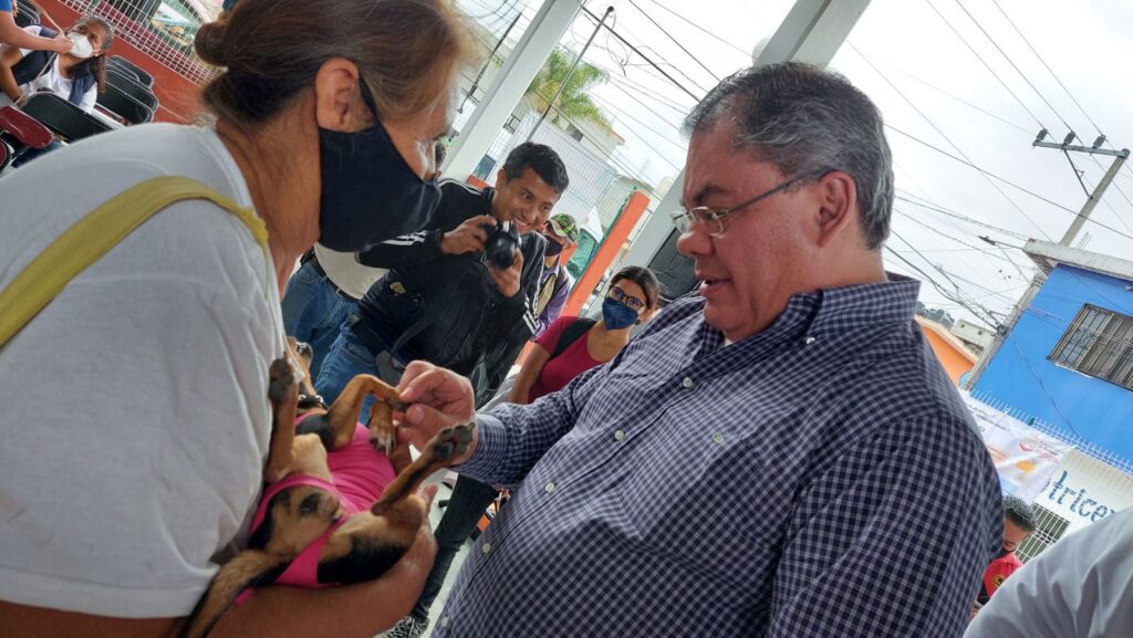 Más de mil 515 perros y gatos esterilizados en 2023 en Jiutepec: Rafael Reyes 1 3e053f3c 9d27 4808 ba06 4f9b13a3cd57